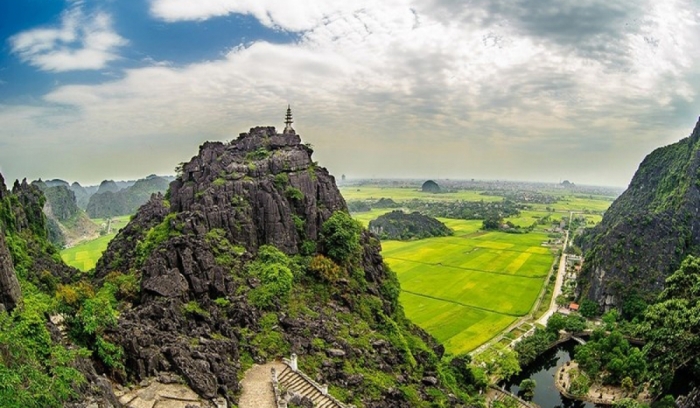 Kich chuot de phong to anh